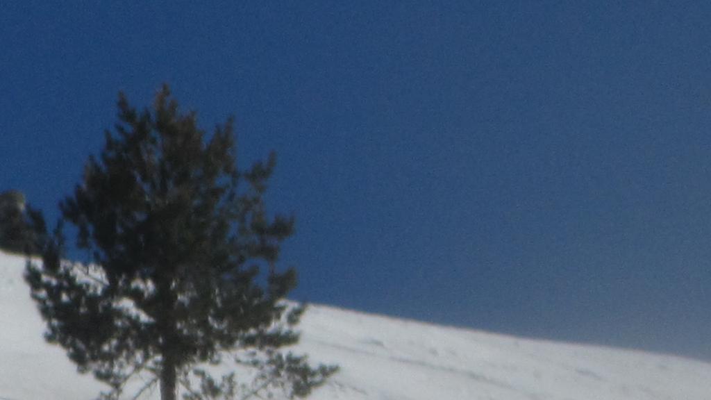 Kackar Pansiyon Yaylalar Exterior foto